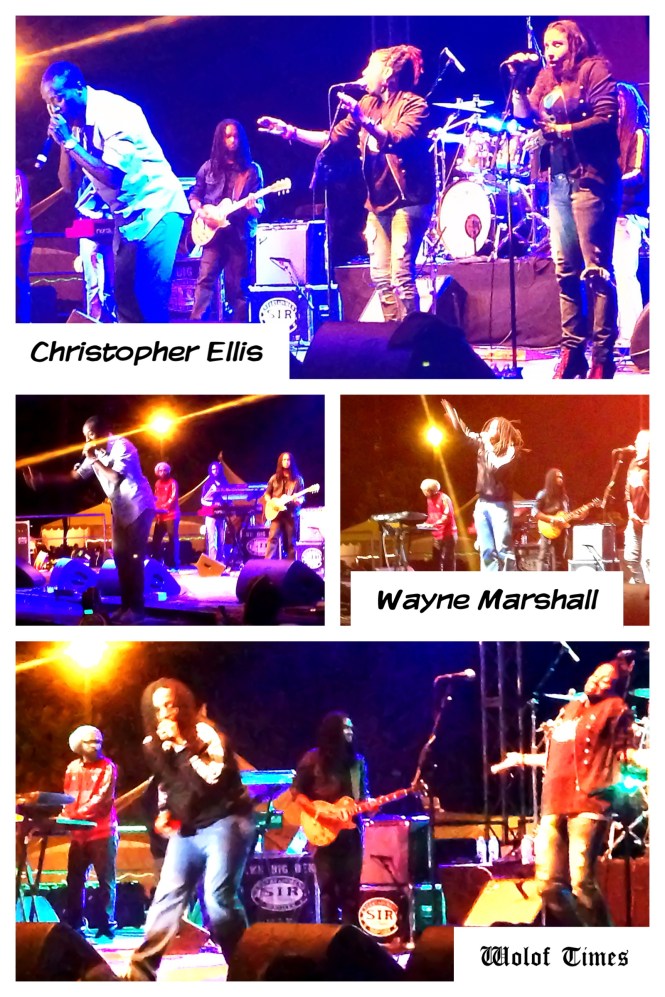 CHRISTOPHER ELLIS, WAYNE  MARSHALL – SIERRA NEVADA WORLD MUSIC FESTIVAL, MENDOCINO (CA) – JUNE 22ND-24TH, 2013